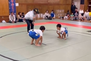 sumo